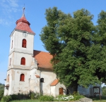 Kostel sv. Prokopa, opata ( Žiželice ) 